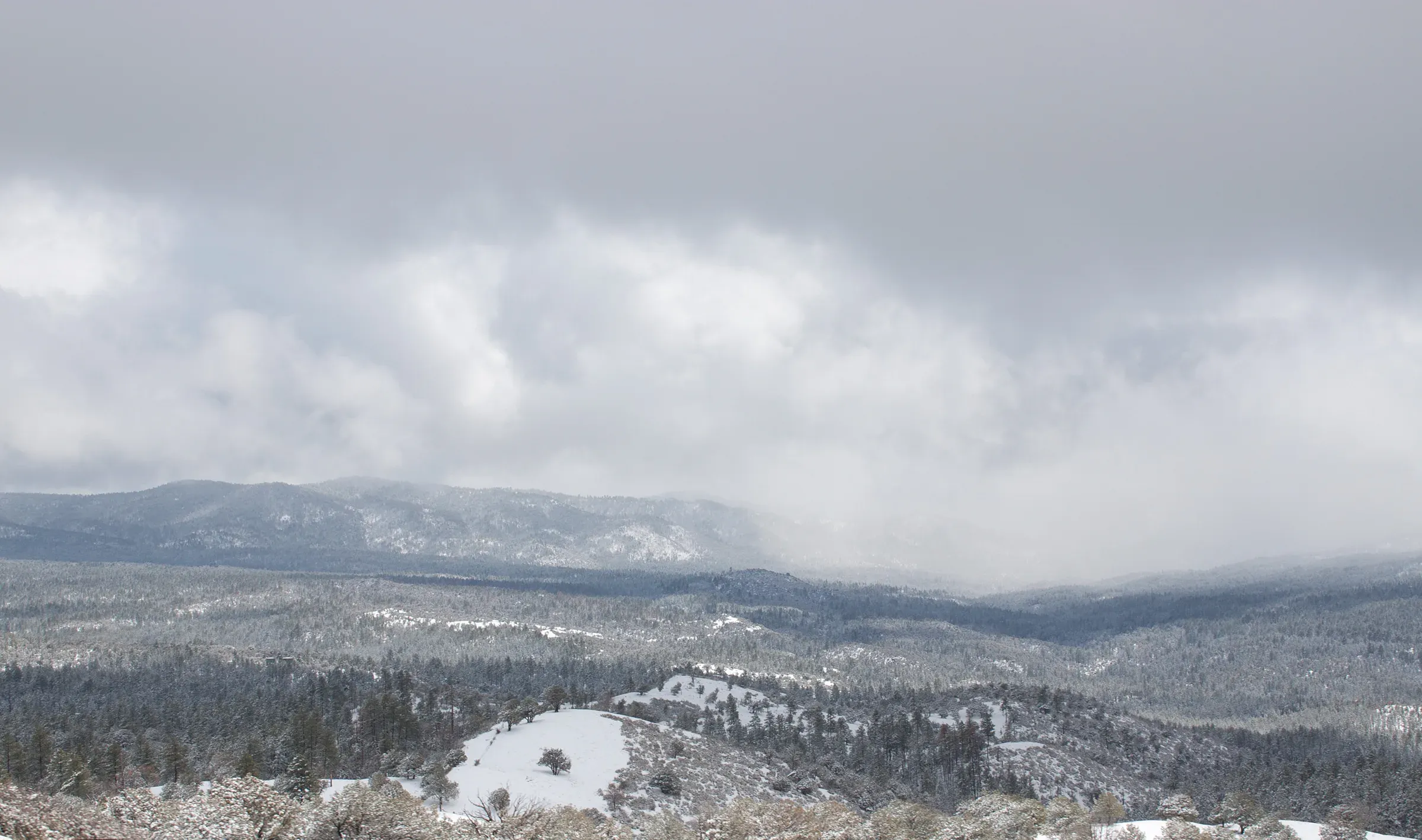 Snow across the national forest in Arizona