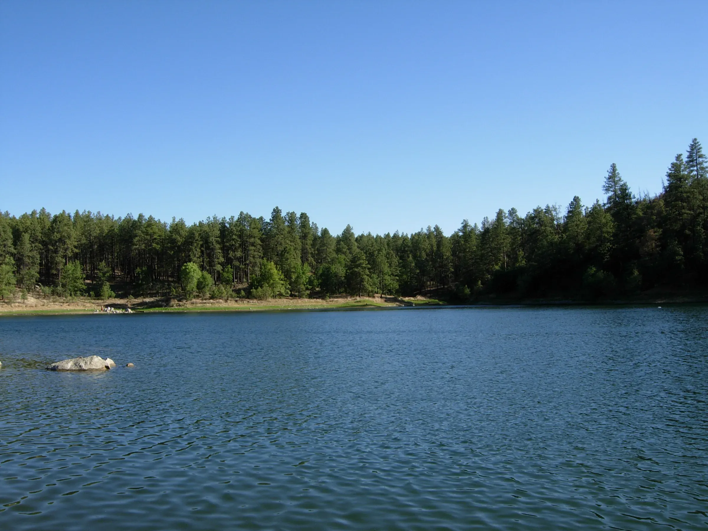 Goldwater Lake ringed by ponderosa pines, Arizona