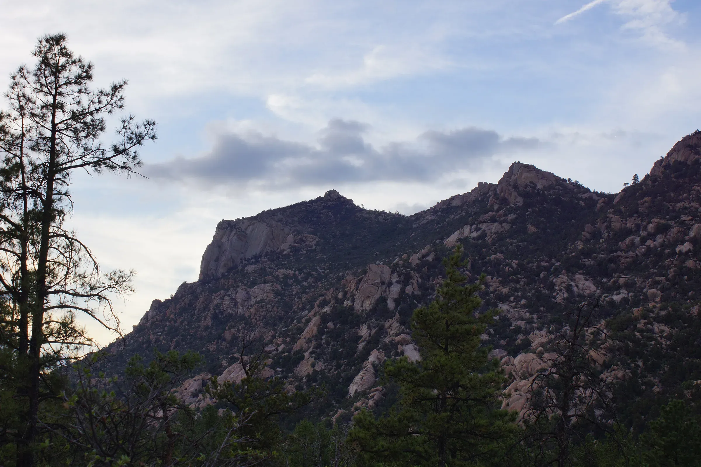 Pines and granite at Granite Basin