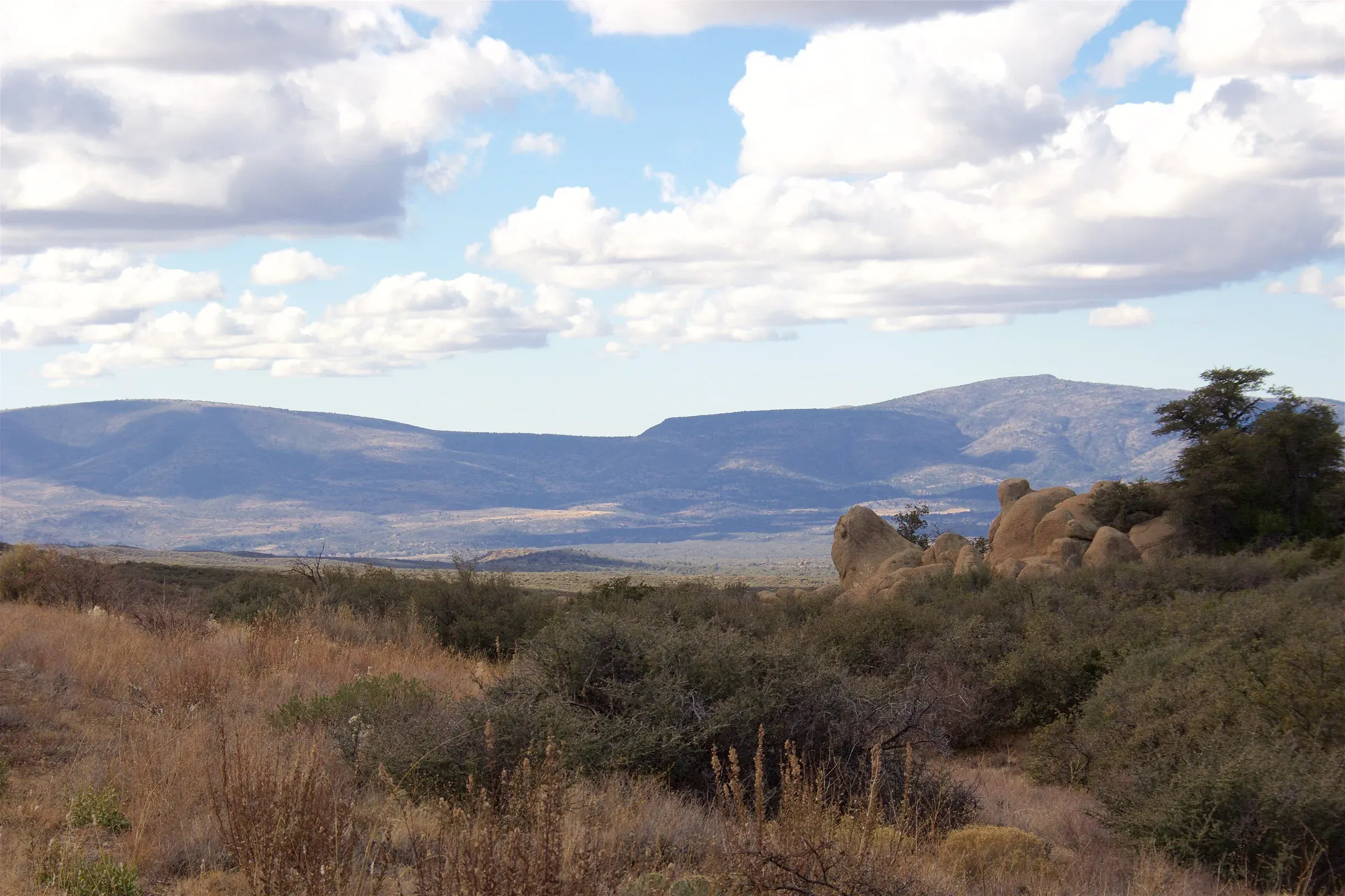 The national forest under big clouds